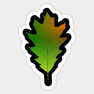 Oak leaf Sticker